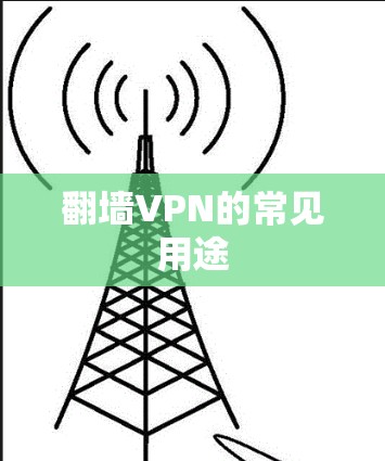 翻墙VPN的常见用途