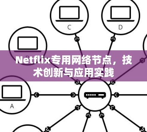 Netflix专用网络节点，技术创新与应用实践