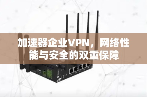 加速器企业VPN，网络性能与安全的双重保障