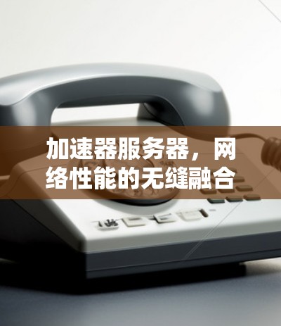 加速器服务器，网络性能的无缝融合