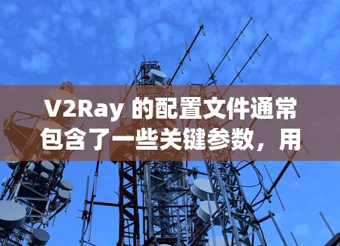 V2Ray 的配置文件通常包含了一些关键参数，用于设置代理服务器、加密方式、域名白名单等。以下是一个典型的 V2Ray 配置文件示例