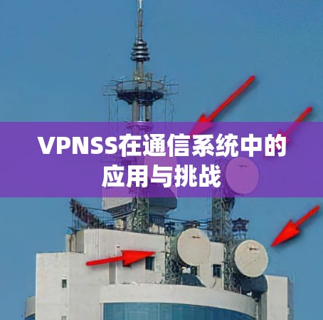 VPNSS在通信系统中的应用与挑战