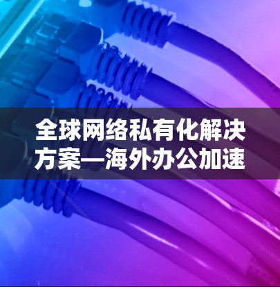 全球网络私有化解决方案—海外办公加速器 全球网络私有化解决方案—海外办公加速器