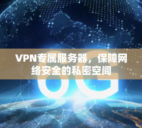 VPN专属服务器，保障网络安全的私密空间