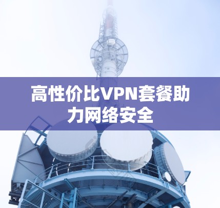 高性价比VPN套餐助力网络安全