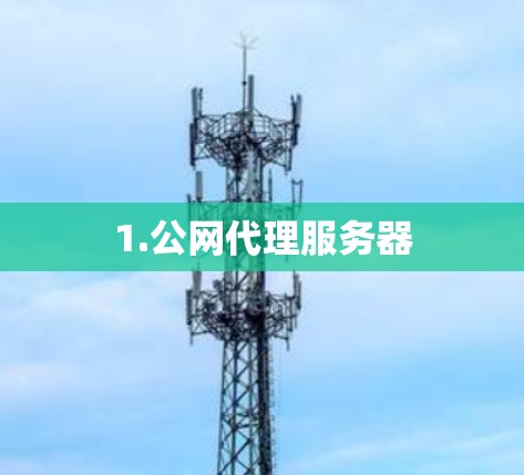 1.公网代理服务器 1.公网代理服务器