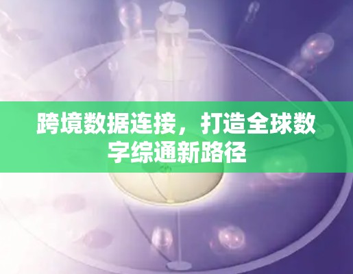 跨境数据连接,打造全球数字综通新路径 跨境数据连接,打造全球数字综通新路径