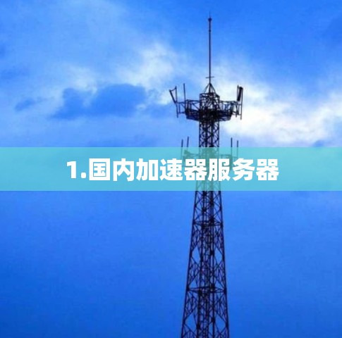 1.国内加速器服务器