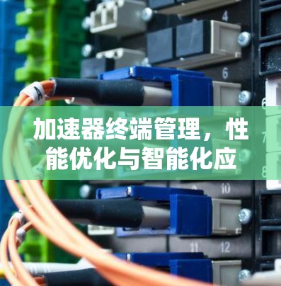 加速器终端管理，性能优化与智能化应用