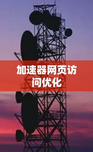加速器网页访问优化 加速器网页访问优化