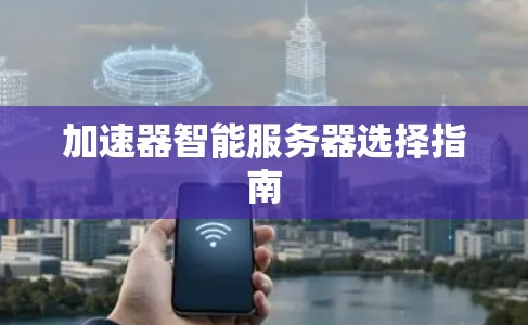 加速器智能服务器选择指南 加速器智能服务器选择指南