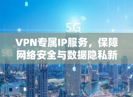 VPN专属IP服务,保障网络安全与数据隐私新方案 VPN专属IP服务,保障网络安全与数据隐私新方案