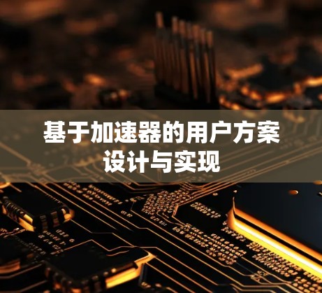 基于加速器的用户方案设计与实现