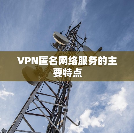 VPN匿名网络服务的主要特点