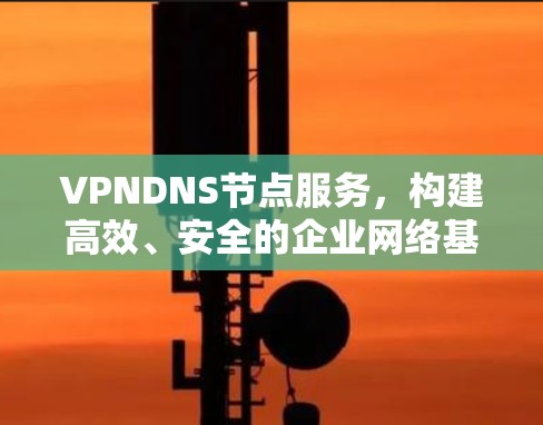 VPNDNS节点服务，构建高效、安全的企业网络基础