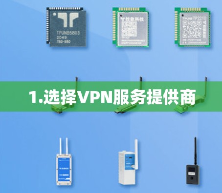 1.选择VPN服务提供商