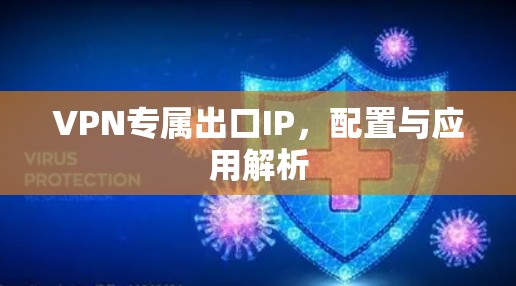 VPN专属出口IP,配置与应用解析 VPN专属出口IP,配置与应用解析