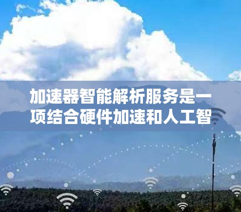 加速器智能解析服务是一项结合硬件加速和人工智能技术的解决方案，旨在优化数据处理任务的性能、效率和可靠性。以下是对此服务的详细分析和总结