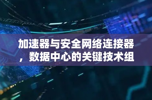 加速器与安全网络连接器，数据中心的关键技术组合