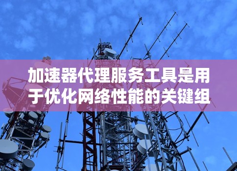 加速器代理服务工具是用于优化网络性能的关键组件，帮助提高数据传输速度和系统效率。以下是对这些工具的详细分析和总结